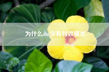 为什么dnf没有特效模式