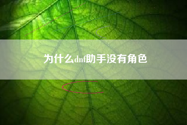 为什么dnf助手没有角色