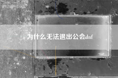 为什么无法退出公会dnf