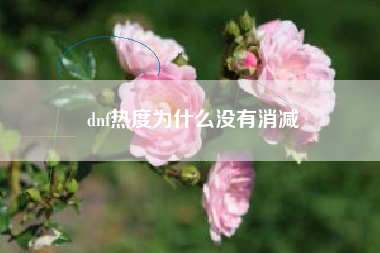 dnf热度为什么没有消减