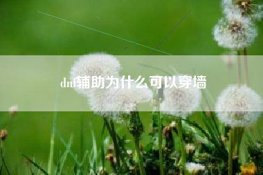 dnf辅助为什么可以穿墙