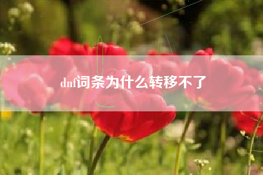 dnf词条为什么转移不了