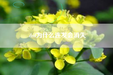 dnf为什么连发会消失