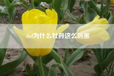 dnf为什么牡丹这么厉害