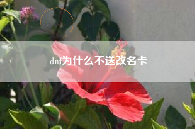 dnf为什么不送改名卡