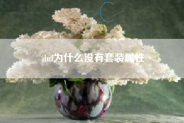 dnf为什么没有套装属性