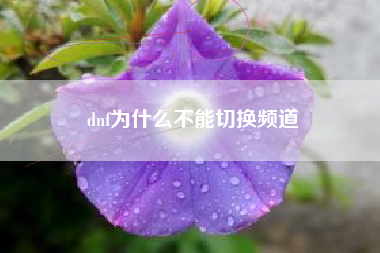 dnf为什么不能切换频道