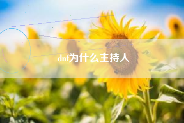 dnf为什么主持人