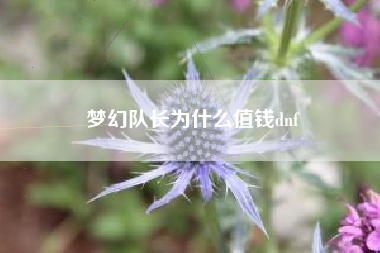 梦幻队长为什么值钱dnf