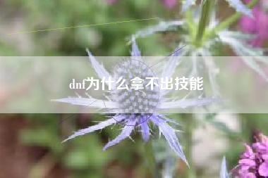 dnf为什么拿不出技能