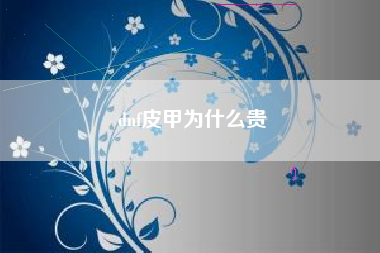 dnf皮甲为什么贵