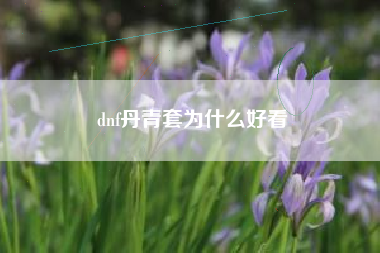 dnf丹青套为什么好看