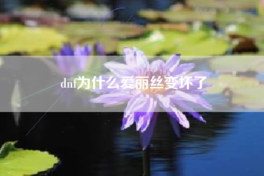 dnf为什么爱丽丝变坏了