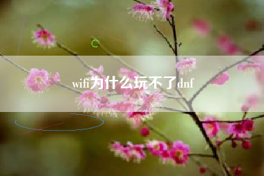 wifi为什么玩不了dnf