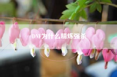 DNF为什么精炼强杀