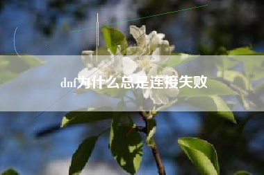 dnf为什么总是连接失败