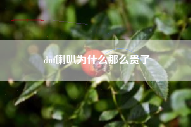 dnf喇叭为什么那么贵了