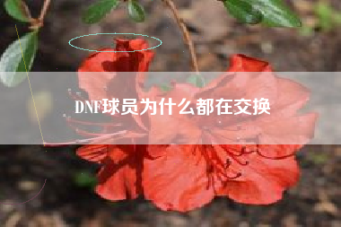 DNF球员为什么都在交换