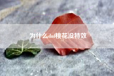 为什么dnf桃花没特效