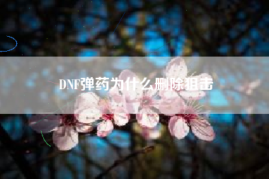 DNF弹药为什么删除狙击