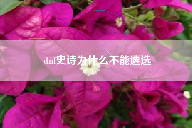 dnf史诗为什么不能遴选