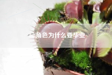 dnf角色为什么要毕业