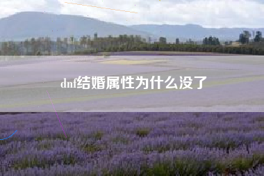 dnf结婚属性为什么没了