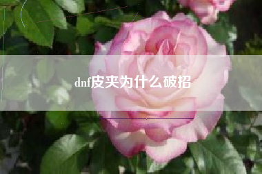 dnf皮夹为什么破招