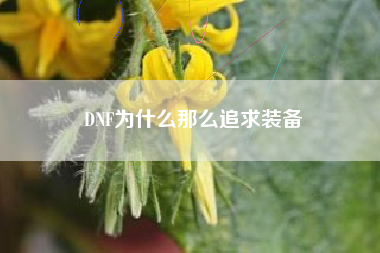 DNF为什么那么追求装备