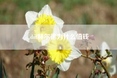 dnf赫尔德为什么值钱