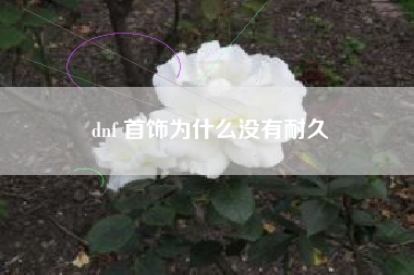 dnf 首饰为什么没有耐久