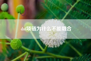 dnf项链为什么不能融合