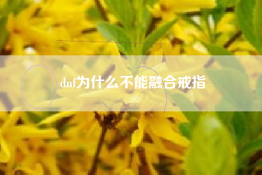 dnf为什么不能融合戒指