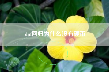 dnf回归为什么没有硬币