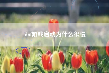 dnf游戏启动为什么很慢