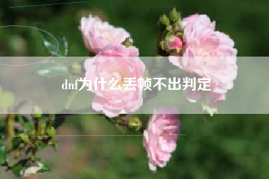 dnf为什么丢帧不出判定