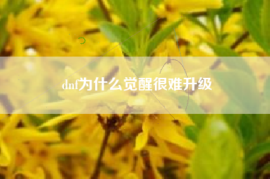 dnf为什么觉醒很难升级