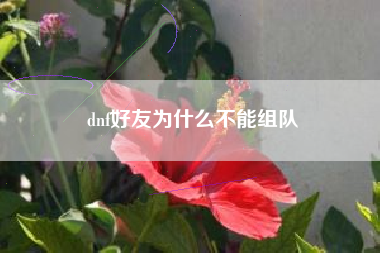 dnf好友为什么不能组队