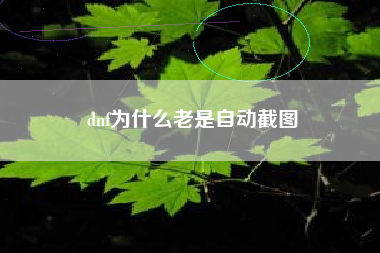 dnf为什么老是自动截图