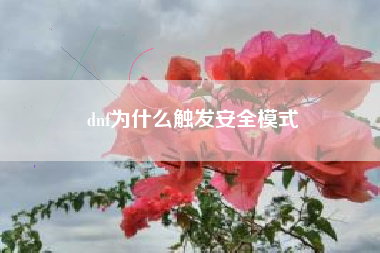 dnf为什么触发安全模式