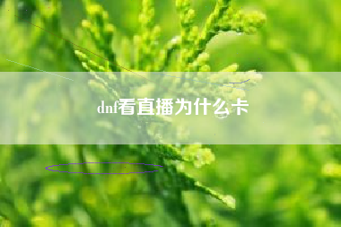 dnf看直播为什么卡