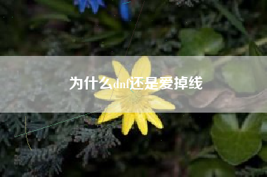 为什么dnf还是爱掉线