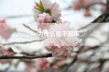 dnf为什么拾不起来