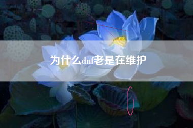 为什么dnf老是在维护