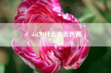 dnf为什么会丢伤害