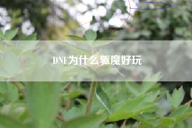 DNF为什么驱魔好玩