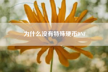 为什么没有特殊硬币DNF