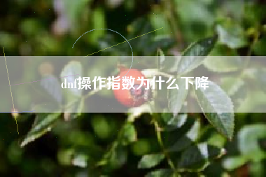 dnf操作指数为什么下降