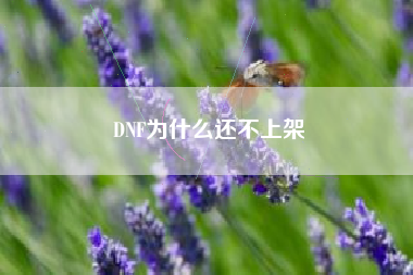 DNF为什么还不上架