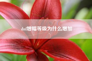 dnf增幅等级为什么增加